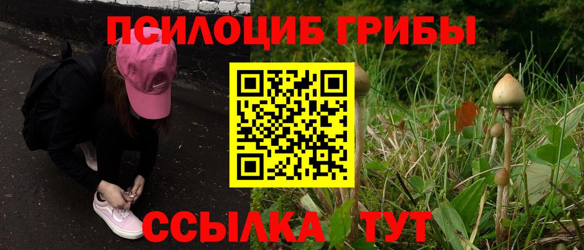 Галлюциногенные грибы GOLDEN TEACHER  Вход с VPN  Псилоцибиновые грибы GOLDEN TEACHER  Реж 
